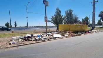 Basura desparramada: el punto crítico de Luján que pone a prueba la convivencia vecinal