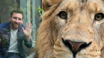 Messi, que está en el país para las Fiestas, realizó el saludo “Jai Mata Di” en la India