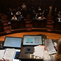 Cuántas sesiones hubo este año en el Senado de Mendoza 