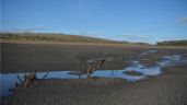 Foto ilustrativa de la nota titulada: Se seca Uruguay y llama a racionalizar el agua una vez más