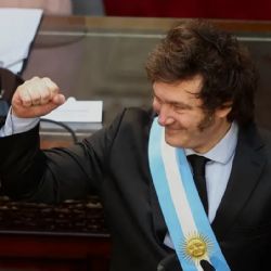 Milei dijo que se viene un súper RIGI para nuevos sectores