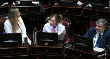 Fernández Sagasti se diferenció del resto del kirchnerismo en una votación del Senado