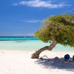 Manuel Adorni viajó a Aruba en primera clase, junto a toda su familia y pagó en efectivo