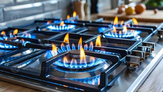 Sin el régimen de zona fría algunos, mendocinos tendrán aumentos de 100% en su boleta 