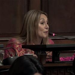 Una diputada se despidió de la Legislatura leyendo un poema de su autoría