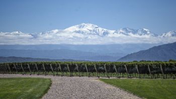 Créditos para exportar vino: aspirinas para el cáncer