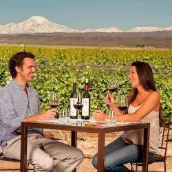 Llegó a Mendoza 40% menos de turistas que en 2024