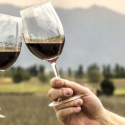 Molinos Río de la Plata se expande en el mercado vitivinícola y adquiere una histórica bodega
