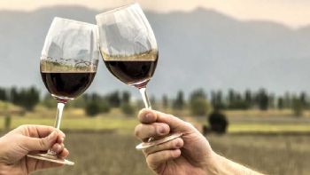 Molinos Río de la Plata se expande en el mercado vitivinícola y adquiere una histórica bodega