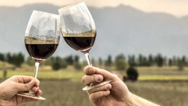Foto iliustrativa de  Molinos Río de la Plata se expande en el mercado vitivinícola y adquiere una histórica bodega