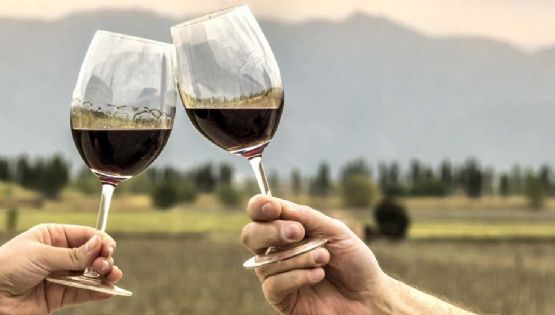 ¿Habrá acuerdo comercial con EEUU y beneficiará al vino?
