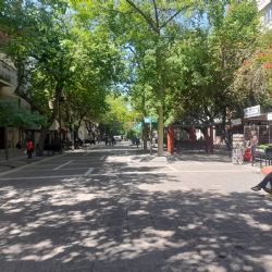 Lunes agobiante en Mendoza: alerta por calor extremo