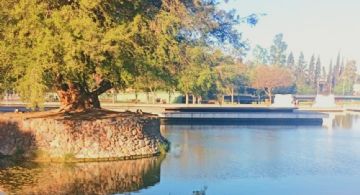 Domingo a pleno sol en Mendoza