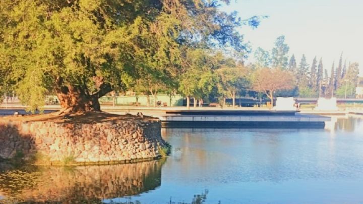 Domingo a pleno sol en Mendoza