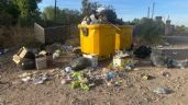 Foto ilustrativa de la nota titulada: Basura desparramada: la cruda postal que alerta a los vecinos de Vertientes del Pedemonte