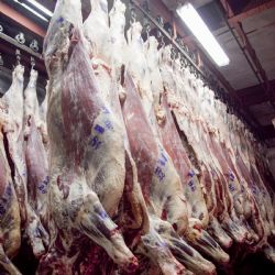 Agroexportadores advierten sobre la posibilidad de que la UE aplique salvaguardias a 24 productos