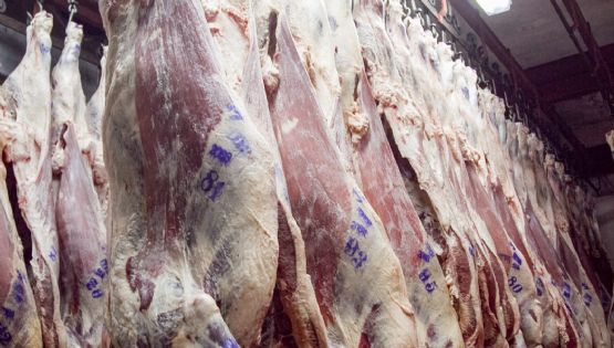 Estados Unidos cuadriplicó la cuota de compra de carne vacuna argentina