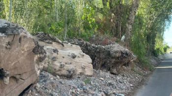 Luján de Cuyo: vecinos furiosos piden que saquen los troncos de la calle Vieytes