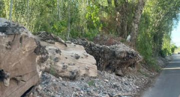 Luján de Cuyo: vecinos furiosos piden que saquen los troncos de la calle Vieytes