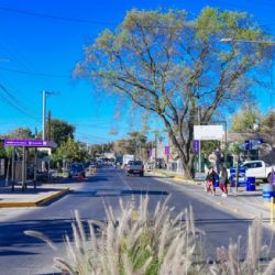 Se espera un viernes caluroso con viento Zonda y alertas en Mendoza