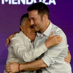 Cornejo vicepresidente, Petri gobernador