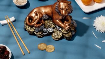 Horóscopo chino: se abre el portal de noviembre