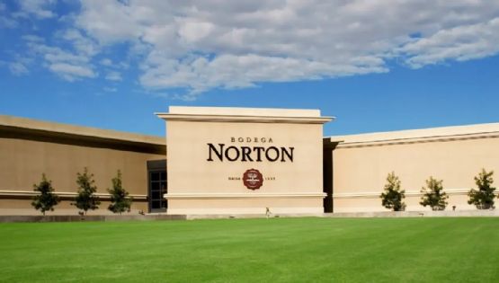 Bodega Norton se presentó en concurso de acreedores