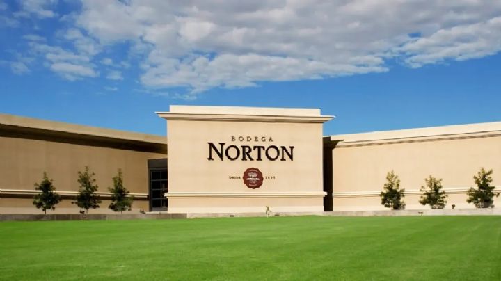 Bodega Norton se presentó en concurso de acreedores