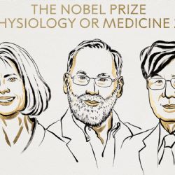 Dieron a conocer a los ganadores del Premio Nobel de Medicina