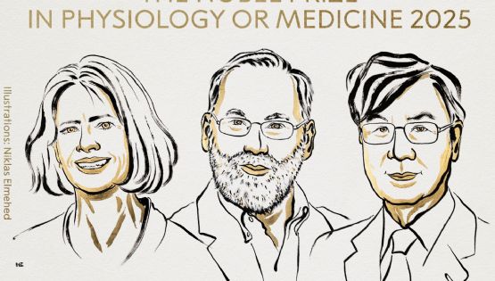 Dieron a conocer a los ganadores del Premio Nobel de Medicina