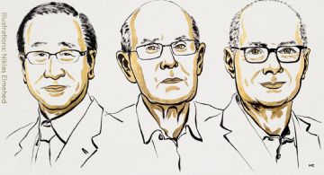 Dieron a conocer a los ganadores del Premio Nobel de Química