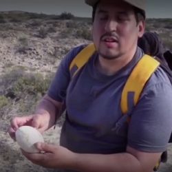 Hallan en la Patagonia el huevo de dinosaurio carnívoro mejor conservado