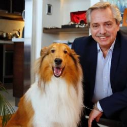 Murió Dylan, el perro “influencer” de Alberto Fernández