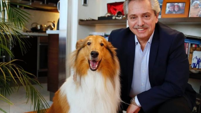 Murió Dylan, el perro “influencer” de Alberto Fernández