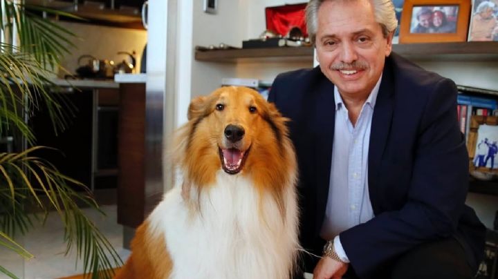 Murió Dylan, el perro “influencer” de Alberto Fernández