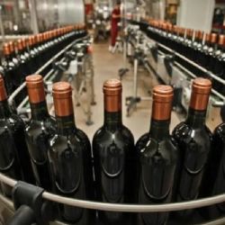 INV:retroceso institucional que compromete la trazabilidad, la equidad y la gobernanza del sector