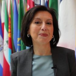 FMI afirma que el Gobierno tiene una “ventana” para acelerar la compra de reservas 