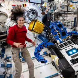 Cuánto cuesta viajar en cohete al espacio y dormir en una estación privada