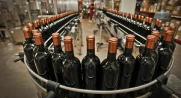 INV:retroceso institucional que compromete la trazabilidad, la equidad y la gobernanza del sector