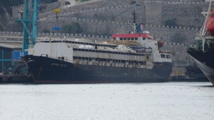 Casi 3.000 vacas uruguayas llevan dos meses en un buque sin poder desembarcar