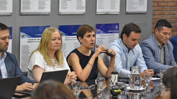 Jimena Latorre asistió a la Legislatura y fue abucheada por ambientalistas