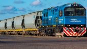Foto ilustrativa de la nota titulada: El ferrocarril que fue, y que nunca volvió