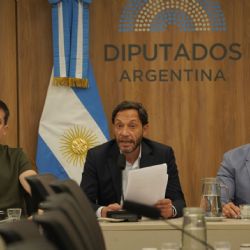 Caso $Libra: se conocen las conclusiones de la investigación de Diputados