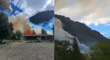 El incendio forestal de Epuyén arrasó casi cien hectáreas de bosque 