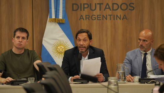 Caso $Libra: se conocen las conclusiones de la investigación de Diputados
