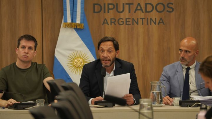 Caso $Libra: se conocen las conclusiones de la investigación de Diputados