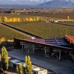 Las 15 bodegas mendocinas que conquistaron el top 50 de las mejores del mundo