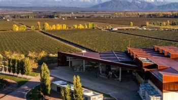 Las 15 bodegas mendocinas que conquistaron el top 50 de las mejores del mundo