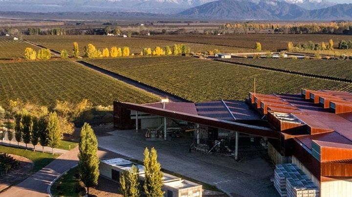 Las 15 bodegas mendocinas que conquistaron el top 50 de las mejores del mundo