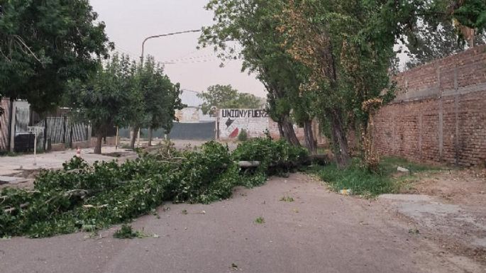 Una caída anunciada: el Zonda expuso la negligencia en Maipú